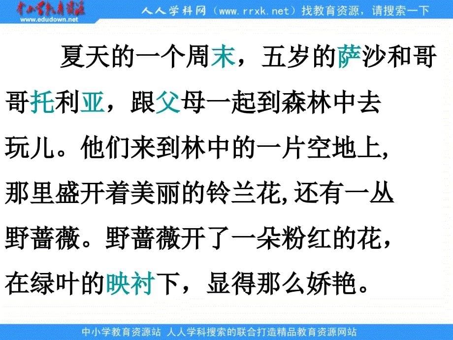 语文s版二下我是最弱小的吗课件精品课件_第5页