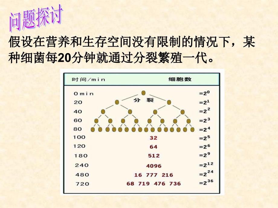 生物42种群数量的变化课件1人教版必修3_第2页