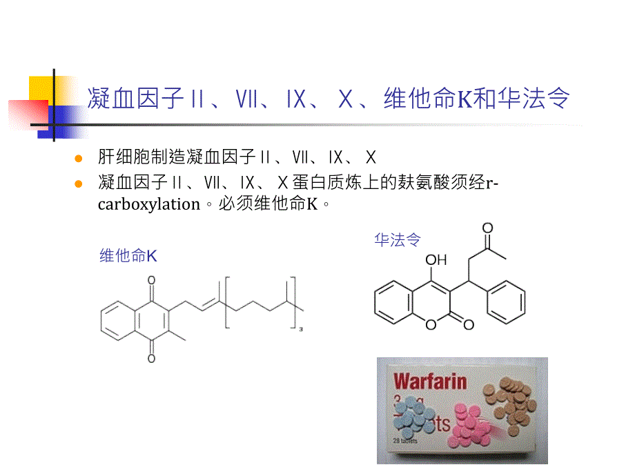 药物基因学及临床应用课件_第3页