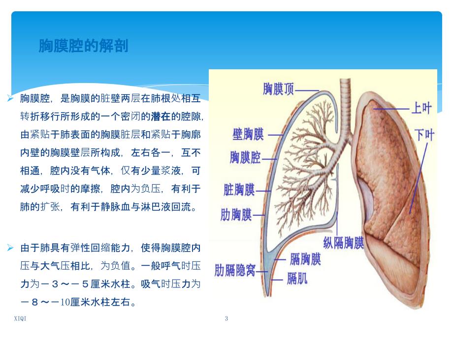 胸腔穿刺术 实用讲解_第3页