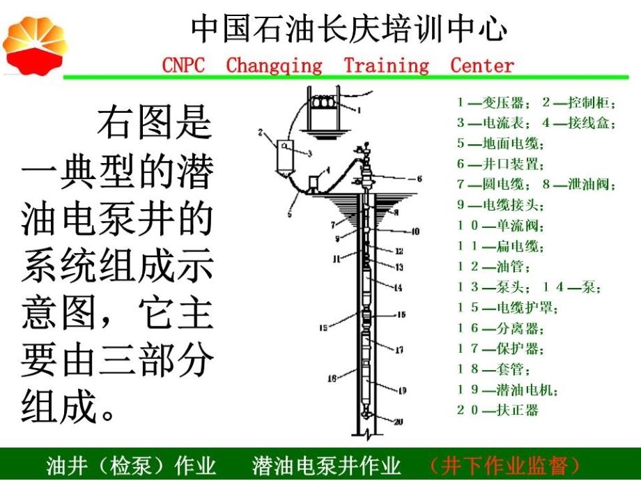 《潜油电泵井作》PPT课件.ppt_第4页