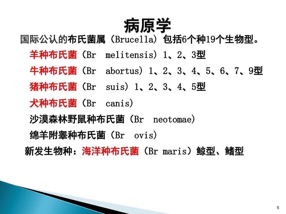 布氏杆菌病ppt课件_第5页