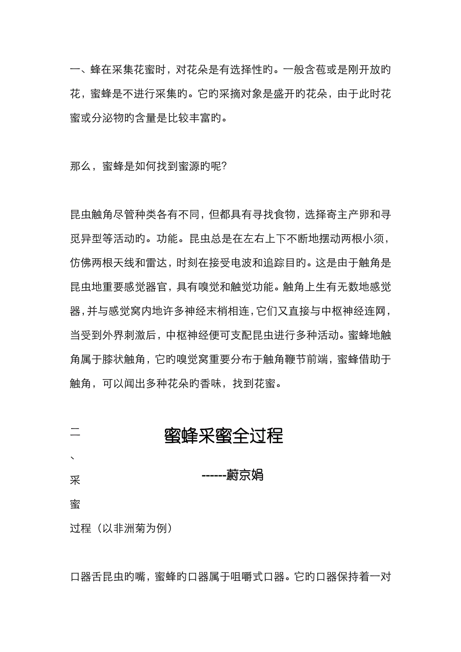 蜜蜂采蜜全过程_第1页