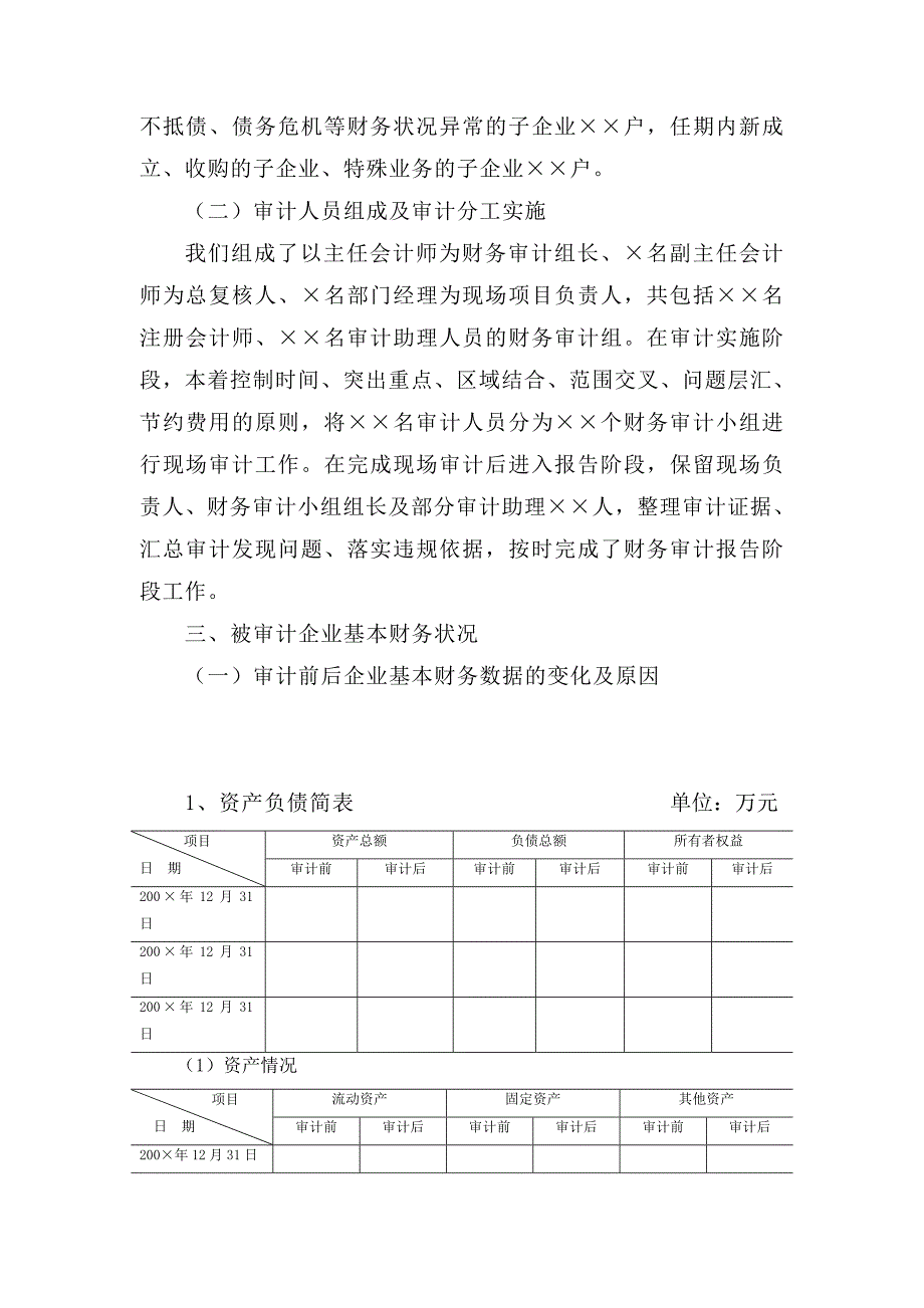 财务审计报告的模板_第4页