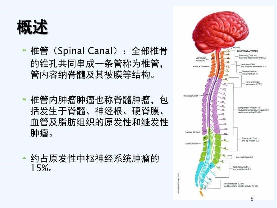 椎管内肿瘤课件_第5页