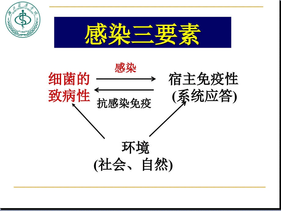 细菌的感染及免疫_第4页