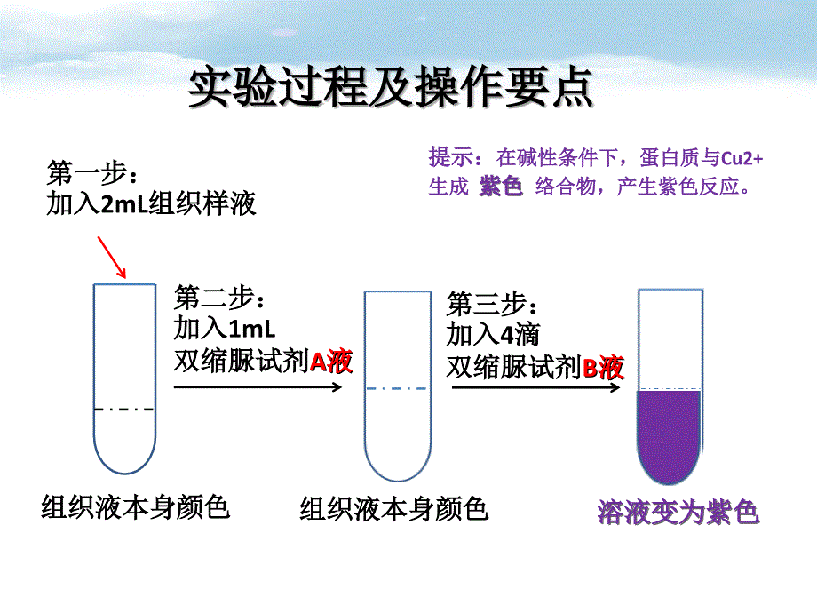 2015年高中生物会考实验讲解课件_第4页