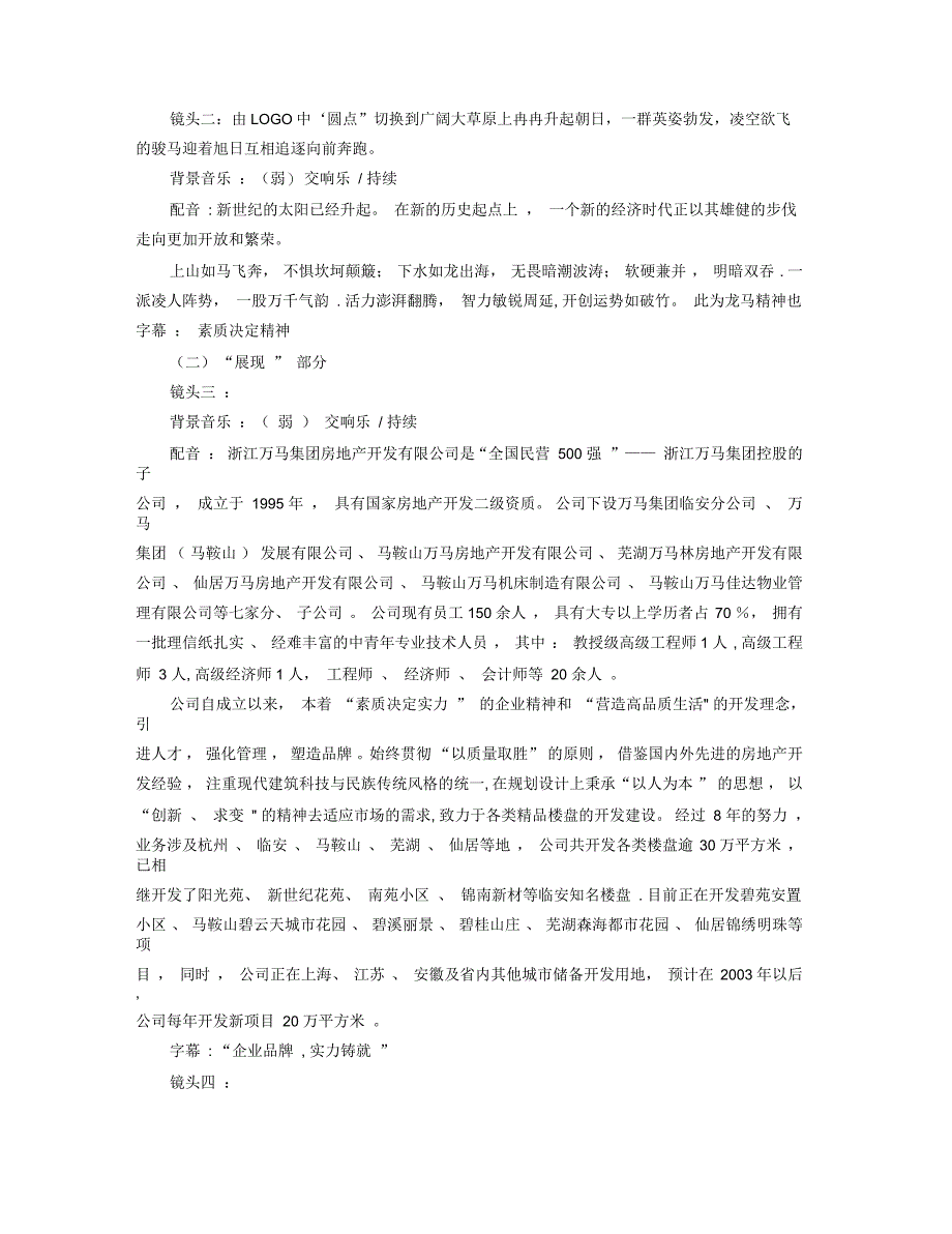 企业宣传片策划书_第4页