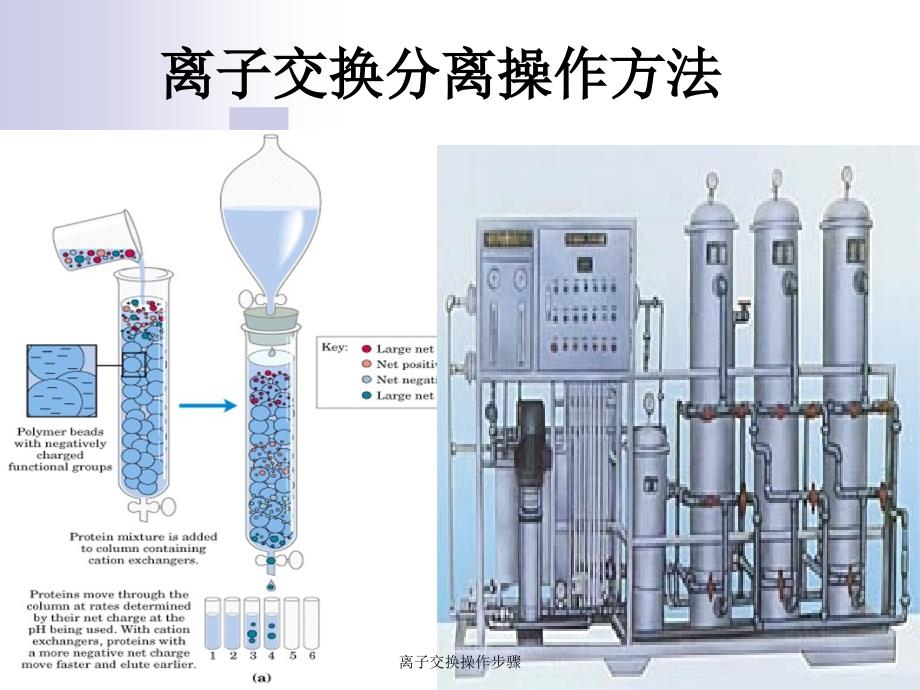 离子交换操作步骤课件_第1页