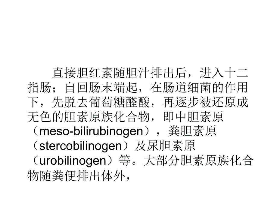 胆红素在肠道中的转变与胆色素的肠肝循环★课件_第2页