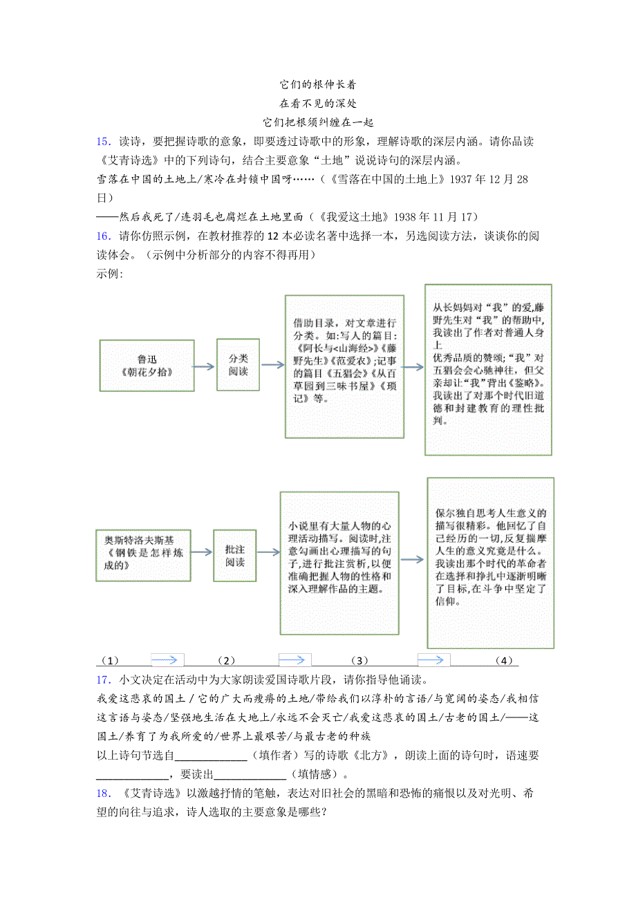 《艾青诗选》名著导读9名著复习_第4页