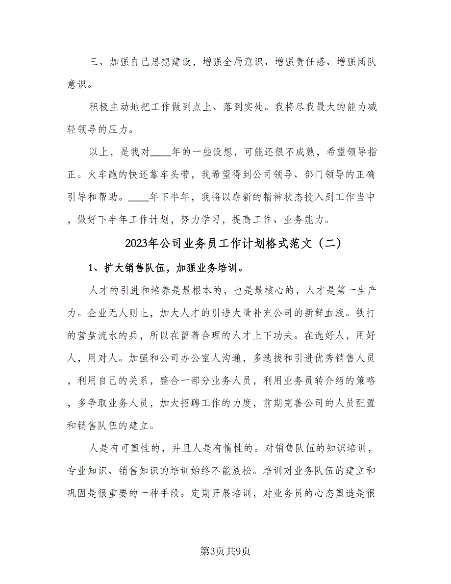 2023年公司业务员工作计划格式范文（四篇）_第3页