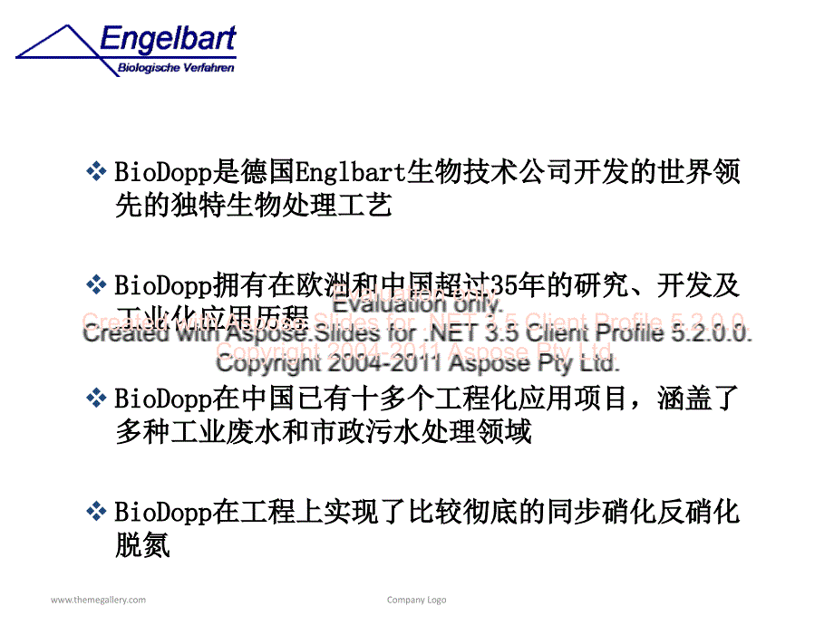 BioDopp生化工艺报告.ppt_第2页