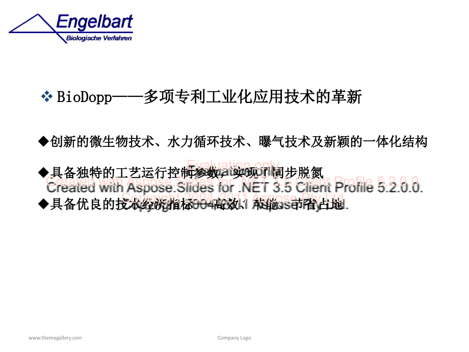 BioDopp生化工艺报告.ppt_第3页