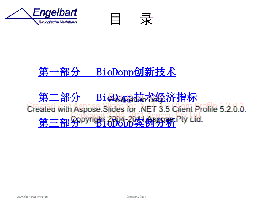 BioDopp生化工艺报告.ppt_第4页