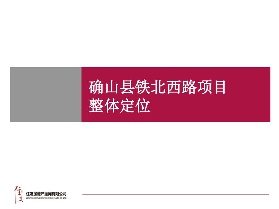 确山县铁北西路项目整体定位_第1页