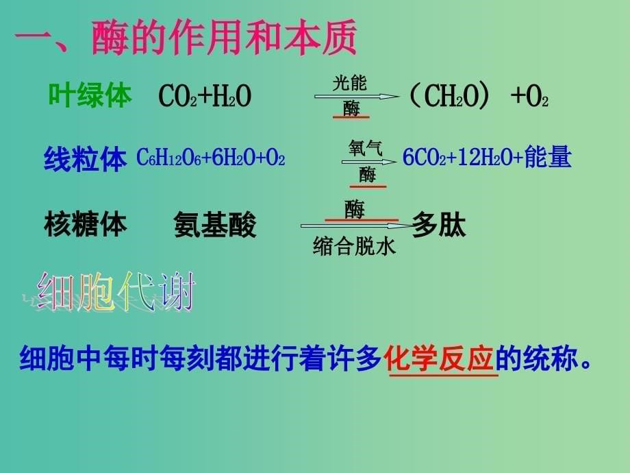 高中生物 5.1 降低化学反应活化能的酶课件 新人教版必修1.ppt_第5页