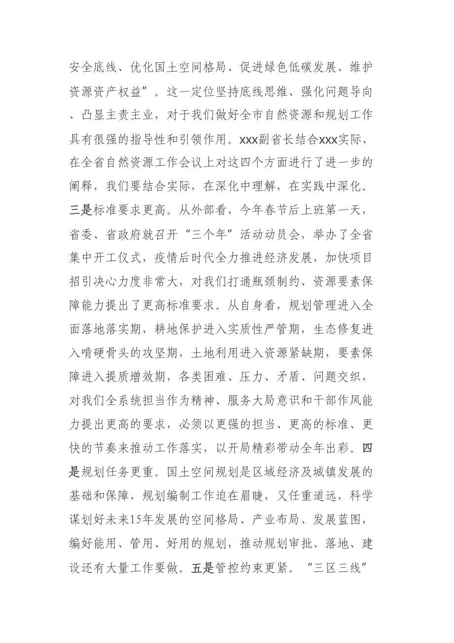 局长在市自然资源工作会议上的讲话.docx_第5页