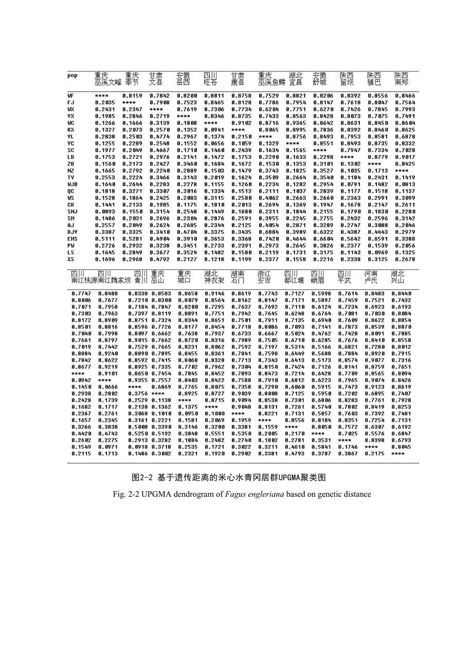 米心水青冈遗传多样性分析.doc_第5页