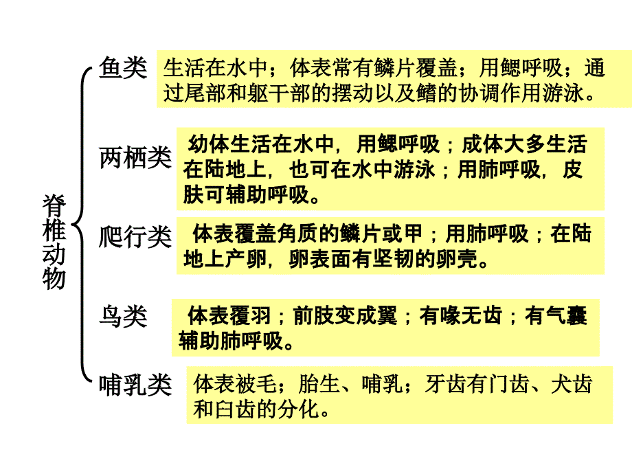 第一章第二章复习_第3页