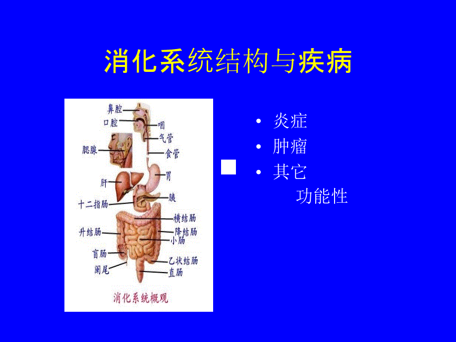 林森消化系统病的症状体征与检查_第2页