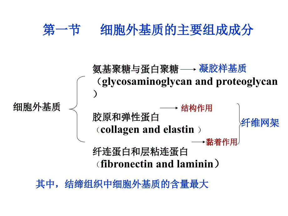 级医学细胞生物学知识点串讲.ppt_第2页