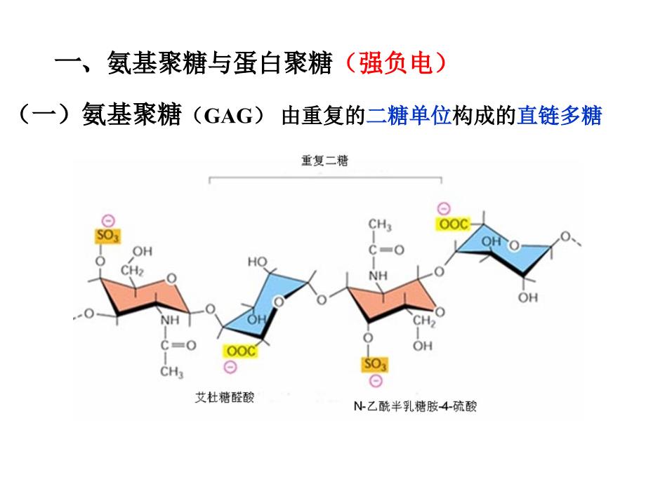 级医学细胞生物学知识点串讲.ppt_第3页