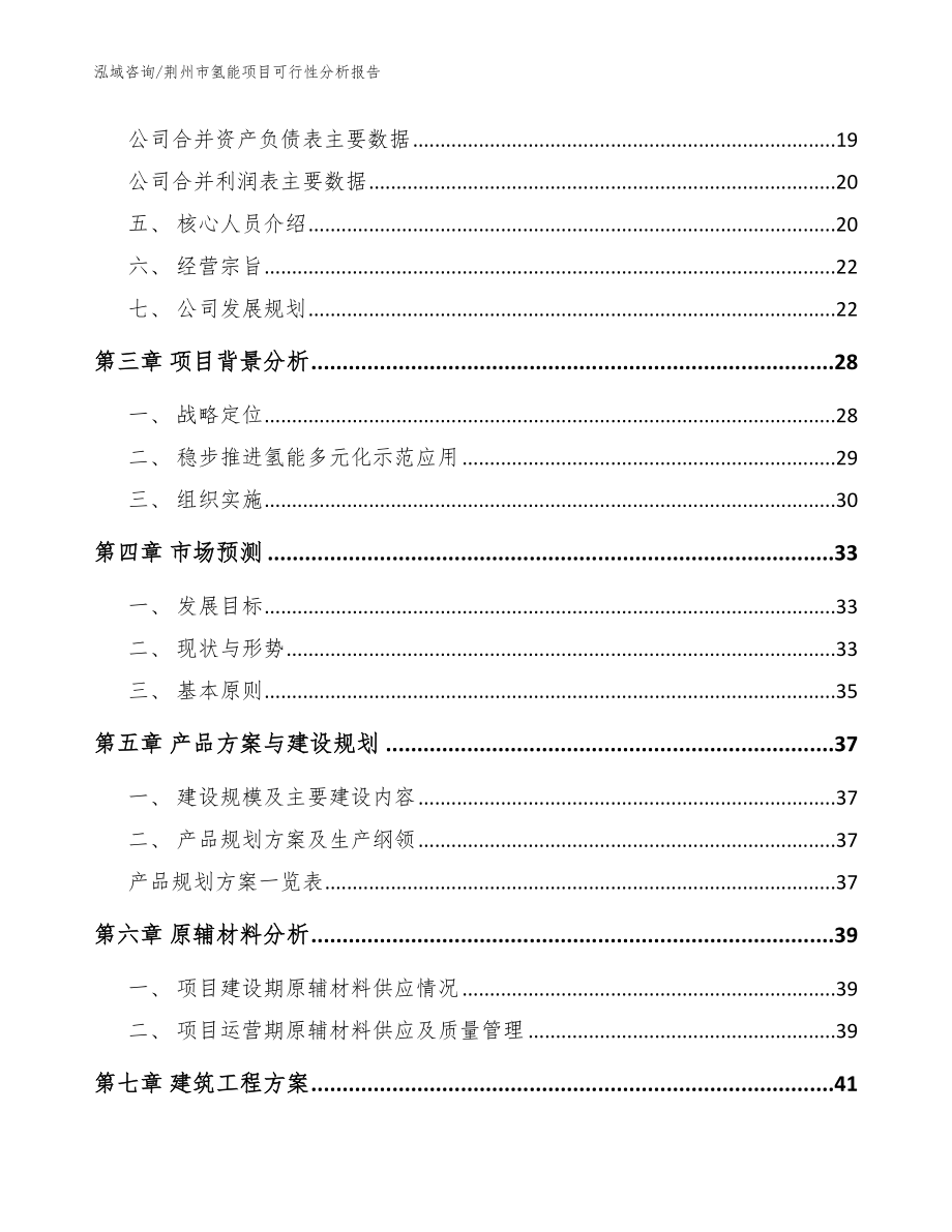 荆州市氢能项目可行性分析报告_模板参考_第4页