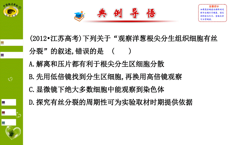 实验9观察根尖分生组织细胞的有丝分裂_第3页