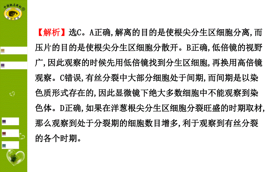 实验9观察根尖分生组织细胞的有丝分裂_第4页