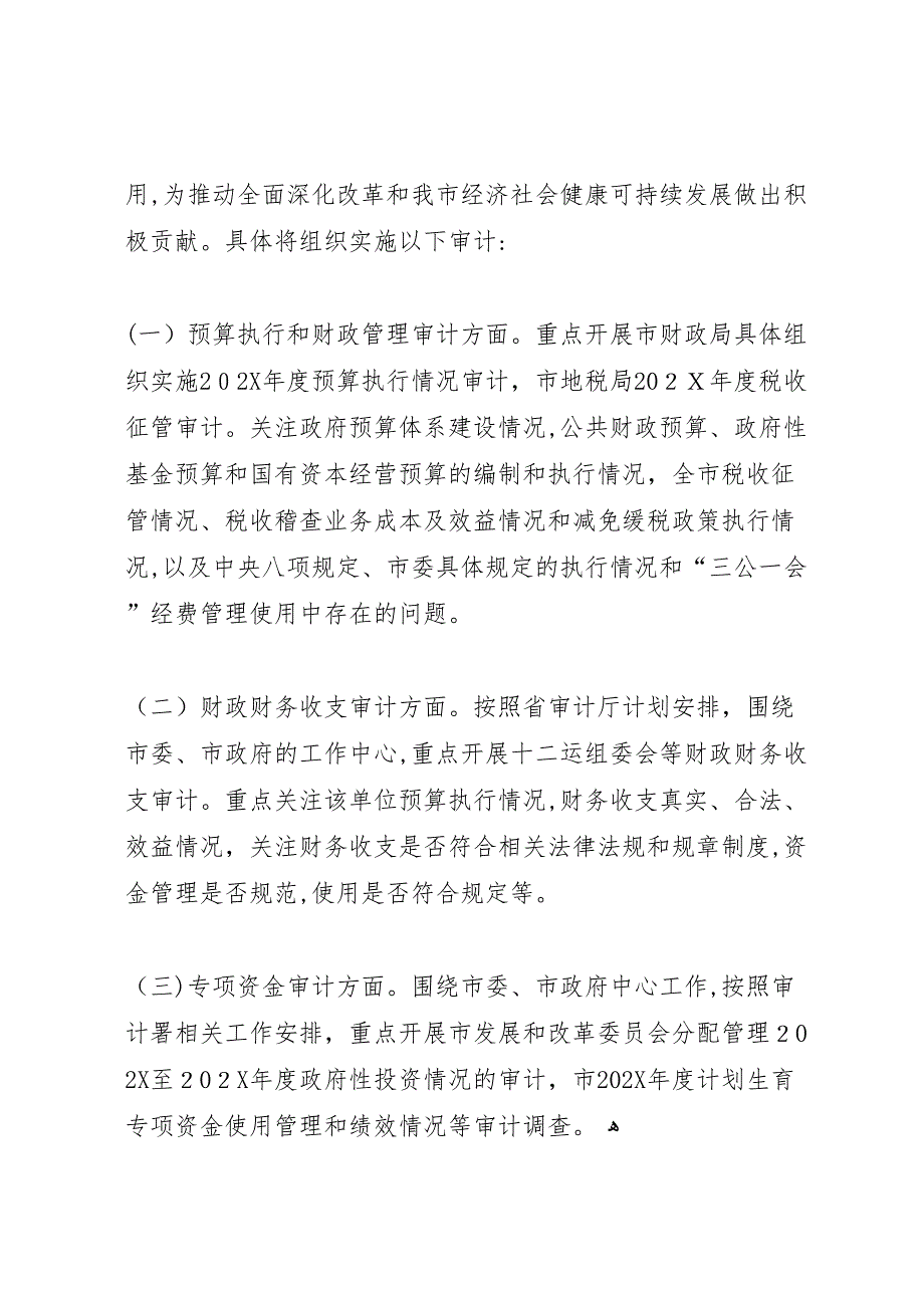 市审计局工作总结报告_第4页