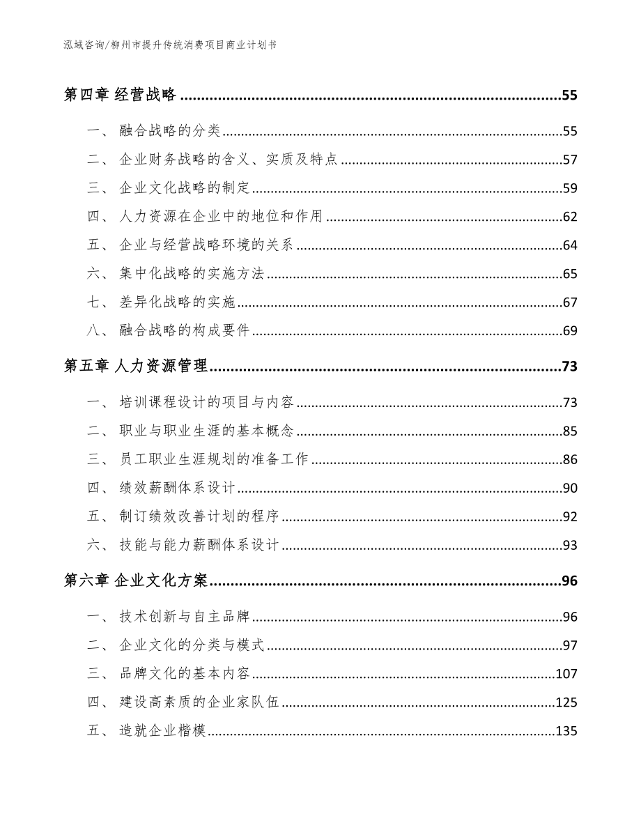 柳州市提升传统消费项目商业计划书范文_第2页