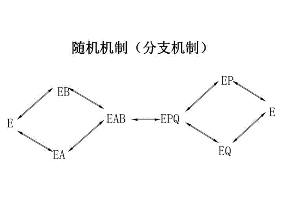 最新多底物酶促反应动力学教学课件_第4页