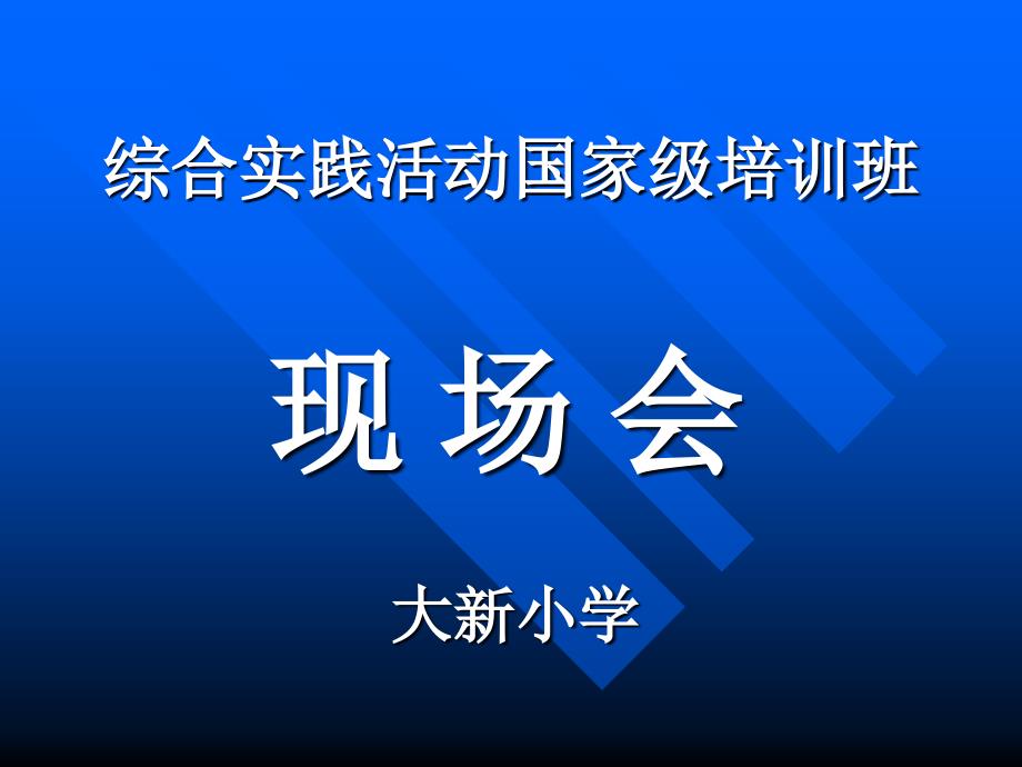 大新小学综合实践活动PPT课件_第1页