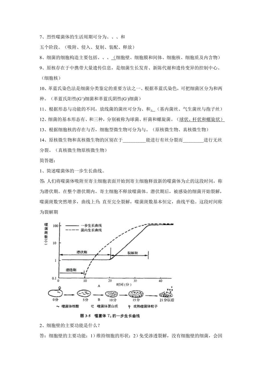 环境微生物复习大纲_第5页