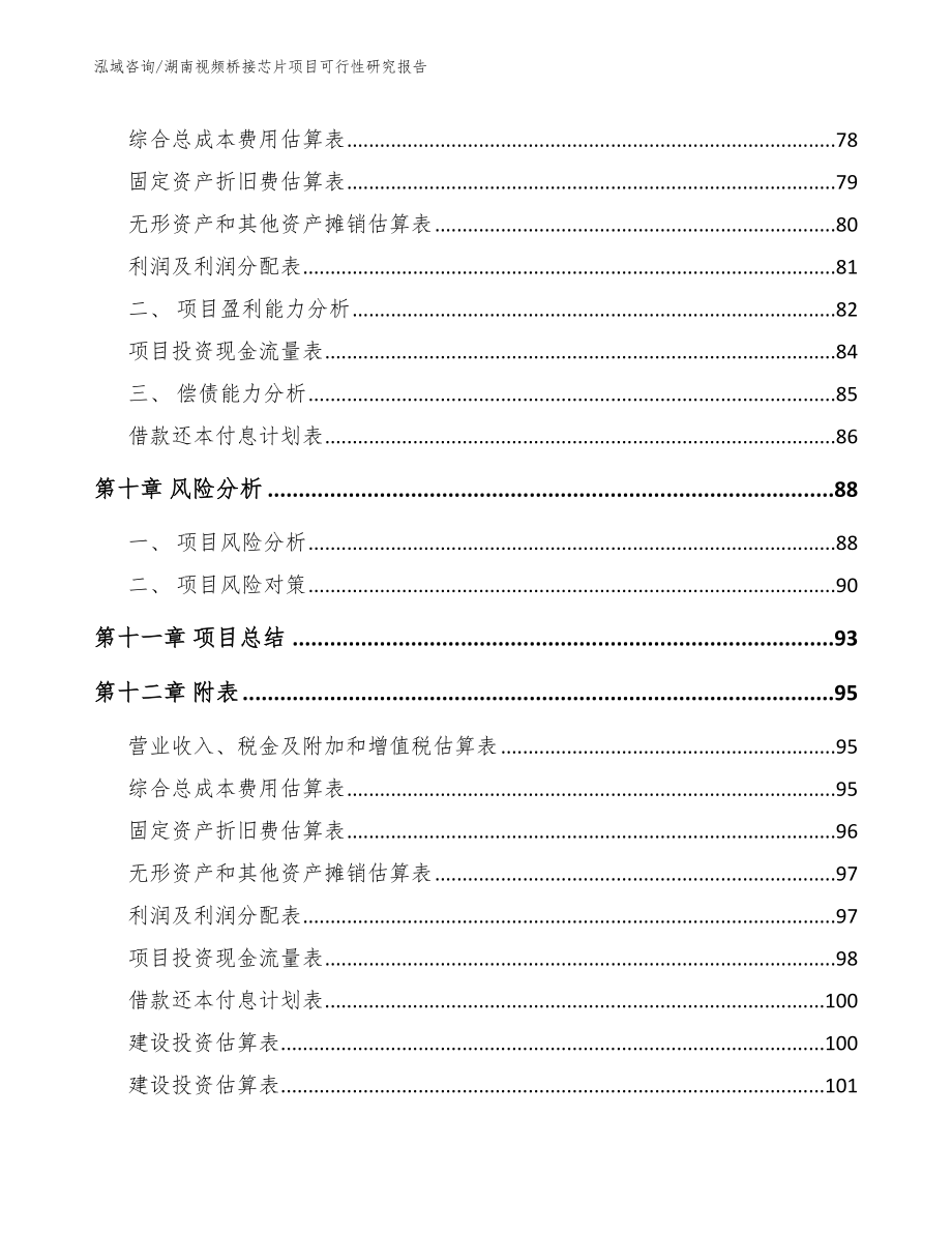 湖南视频桥接芯片项目可行性研究报告范文_第4页