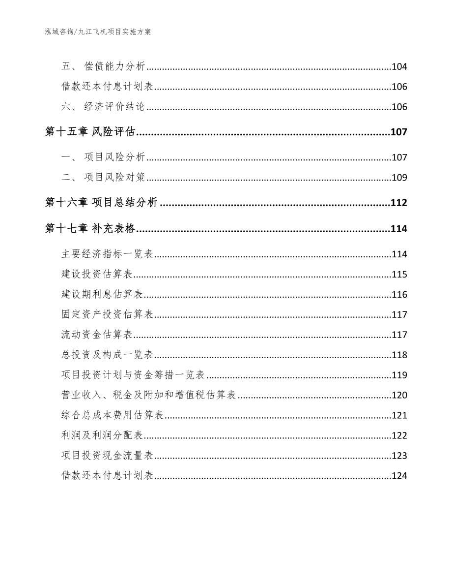 九江飞机项目实施方案_参考范文_第5页