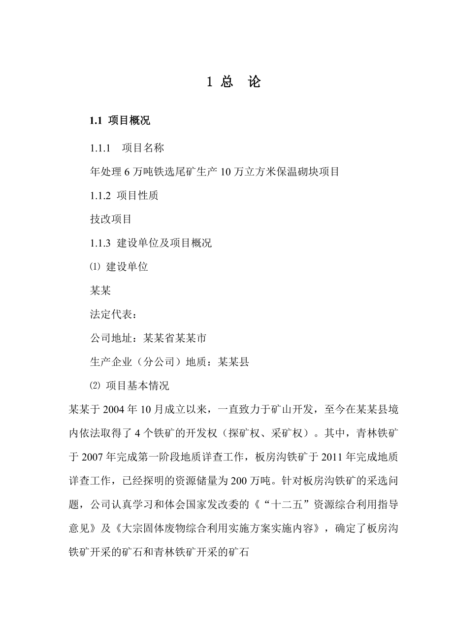 年处理6万吨铁选尾矿生产10万立方米保温砌块项目可行性研究报告-.doc_第1页