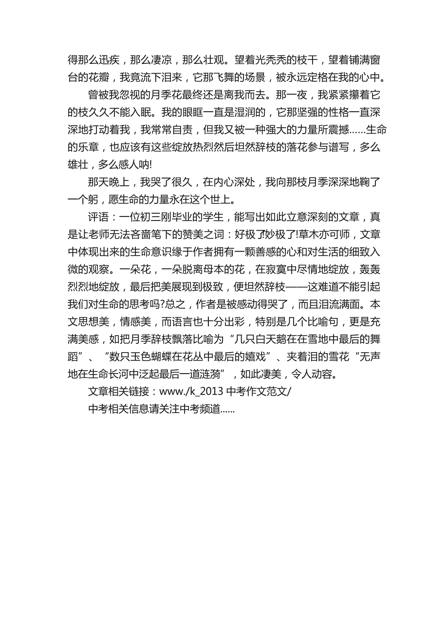 2013中考作文范文有一种力量让我泪流满面_第2页