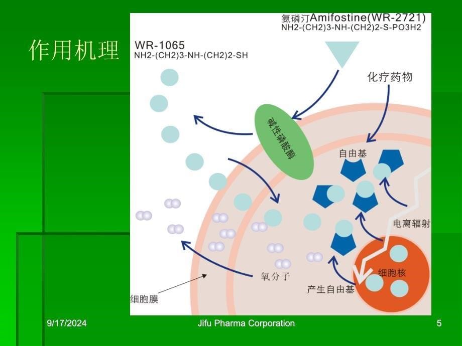 安福定产品知识_第5页