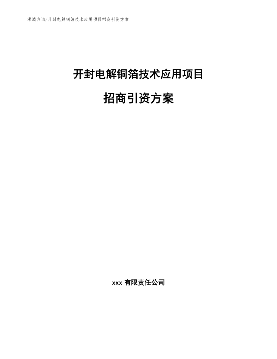 开封电解铜箔技术应用项目招商引资方案参考模板_第1页