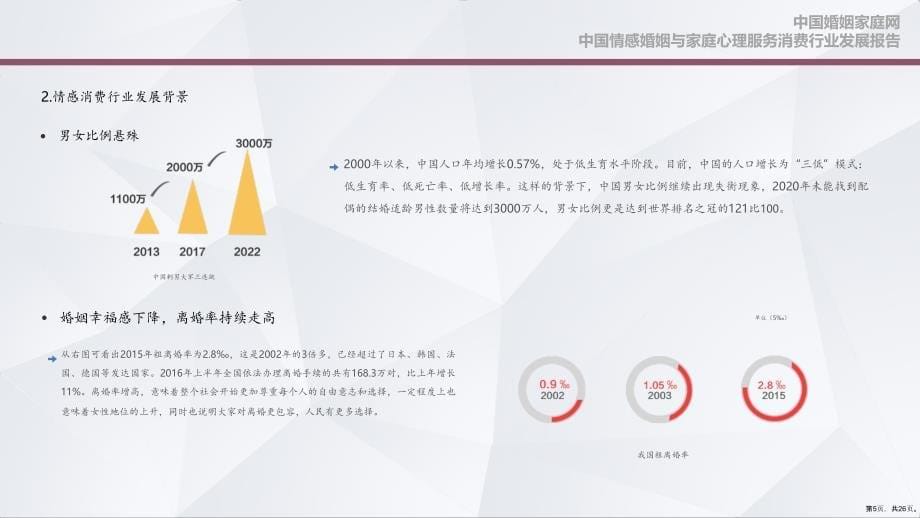 中国情感与家庭心理服务消费行业发展报告课件(PPT 26页)_第5页