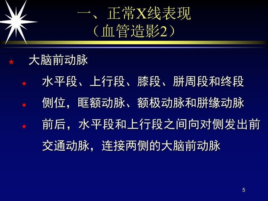 中枢神经系统1_第5页