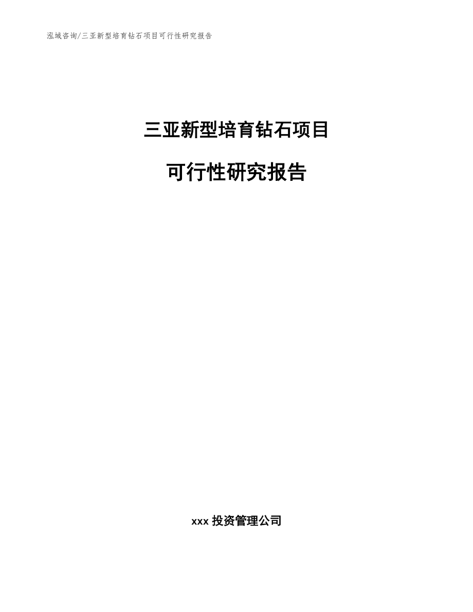 三亚新型培育钻石项目可行性研究报告_第1页