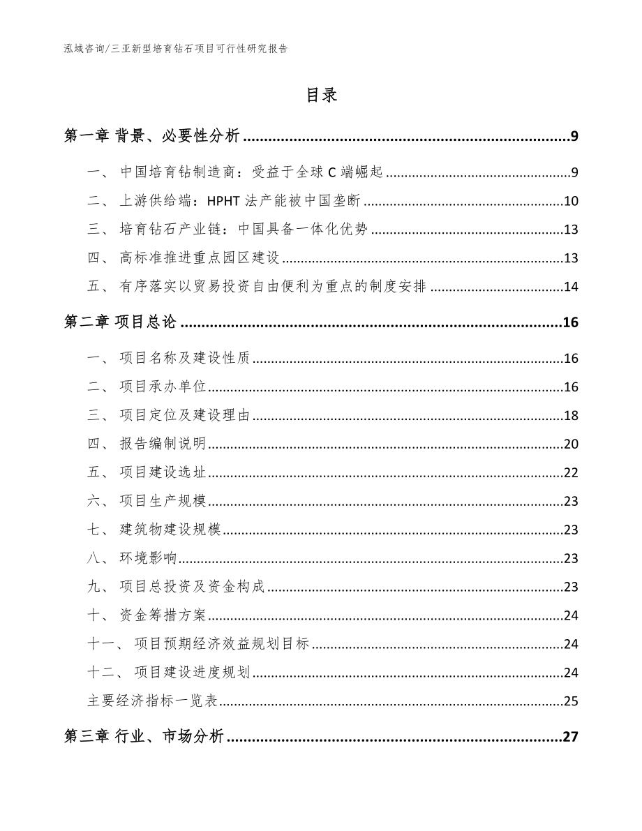 三亚新型培育钻石项目可行性研究报告_第2页