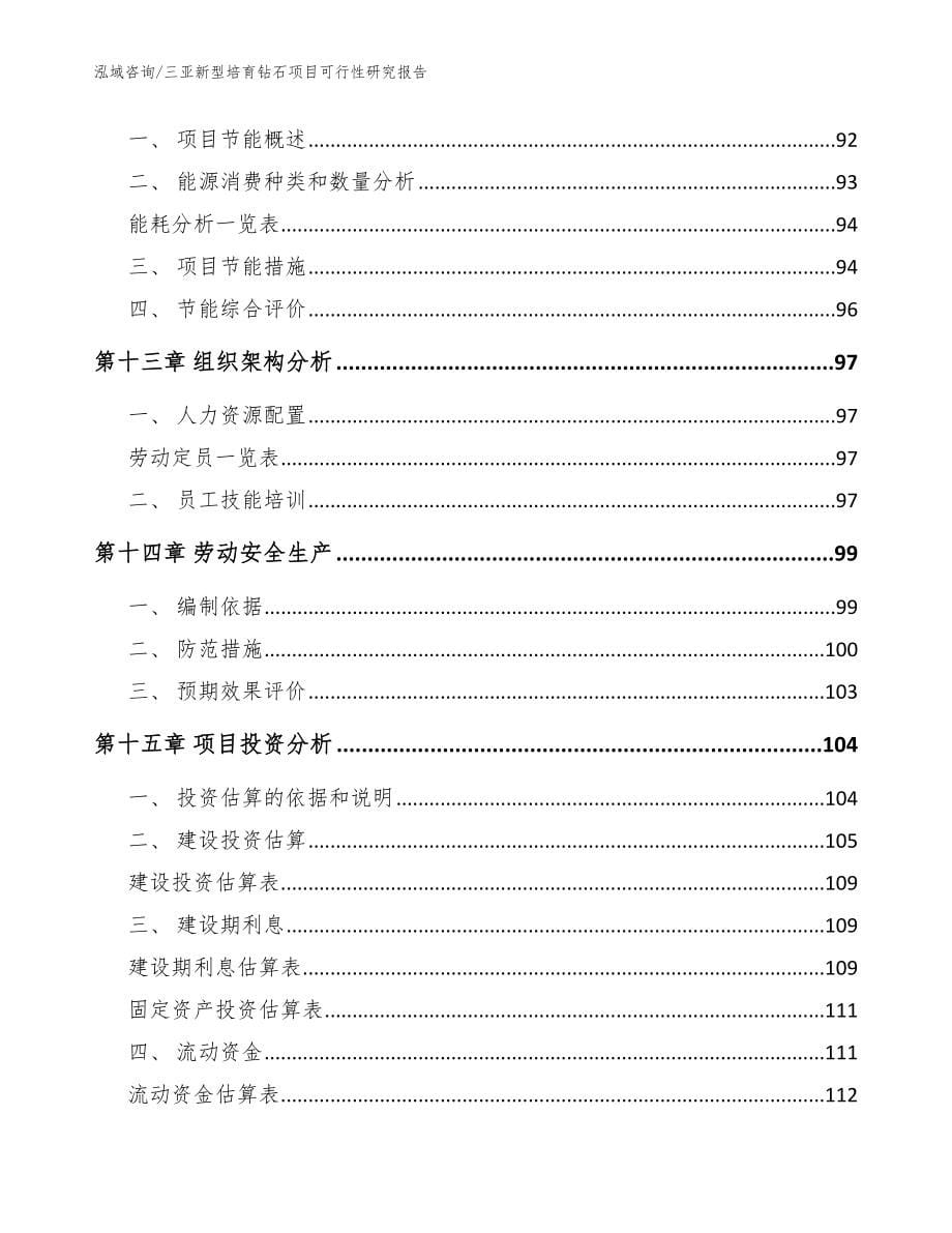 三亚新型培育钻石项目可行性研究报告_第5页