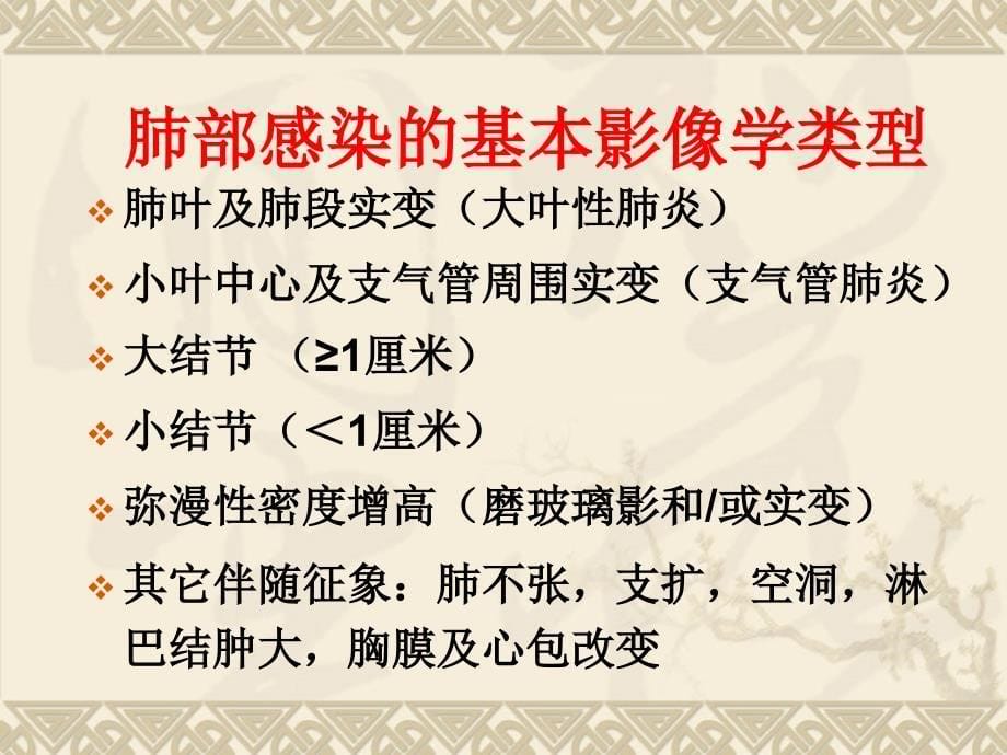 肺部感染影像学特征_第5页