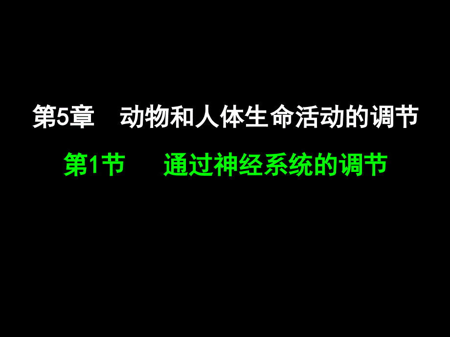 兴奋在神经纤维上的传导_第1页