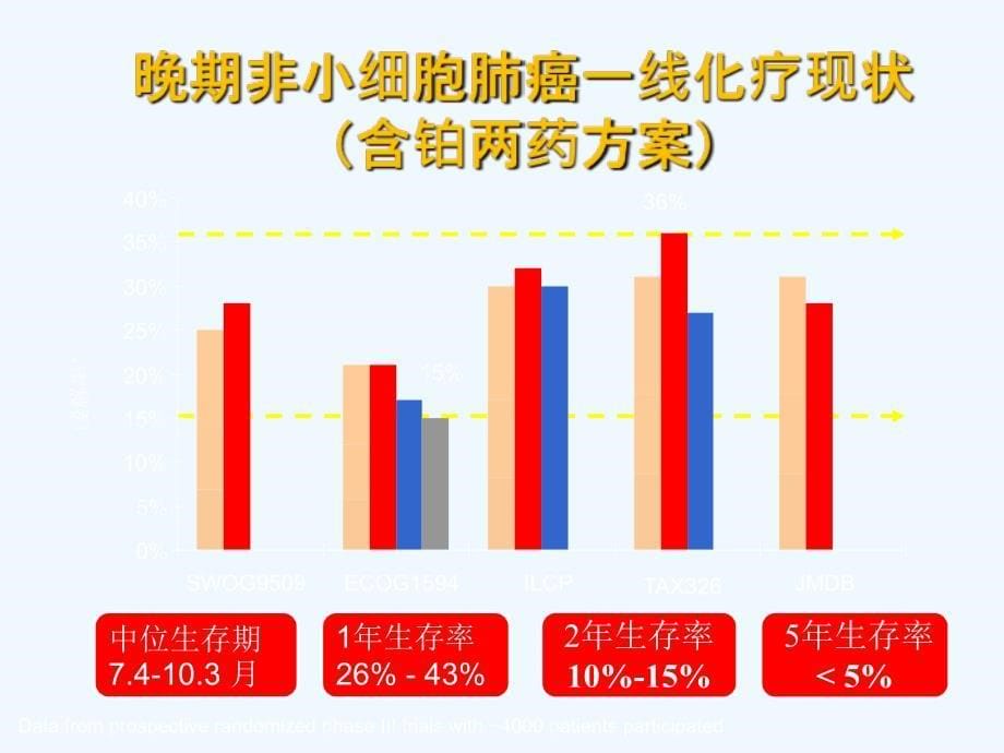 nsclc化疗现状与思考ppt课件_第5页