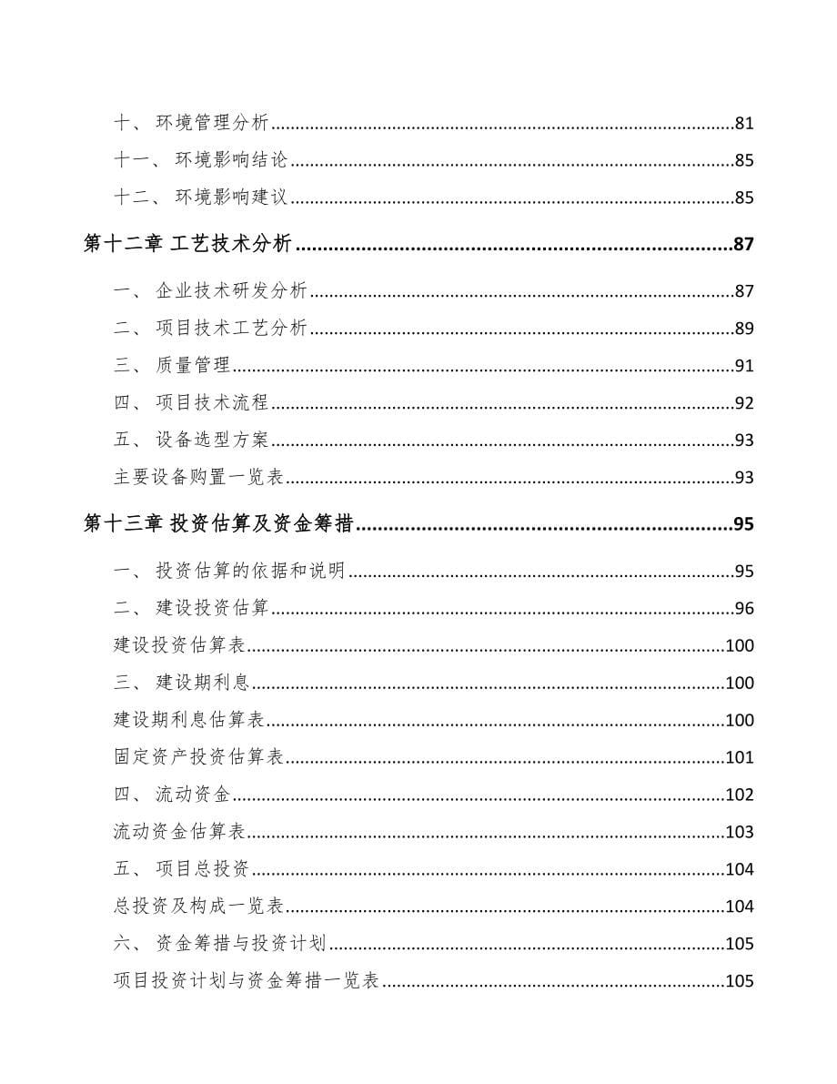 山东软包装产品项目可行性研究报告_第5页